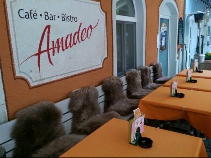 照片: Amadeo 